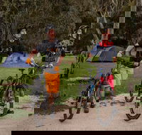 Ngarigo campground - Tourism Search