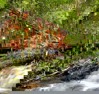 The Mouses House - Rainforest Retreat - Tourism Search