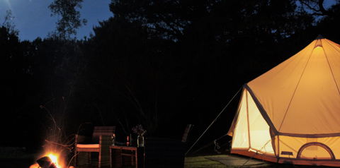 Zeehan Bush Camp - Tourism Search 1