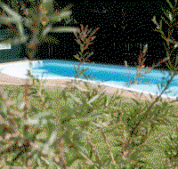 Alluna Motel - Tourism Search