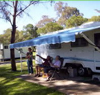 Bega Caravan Park - Tourism Search