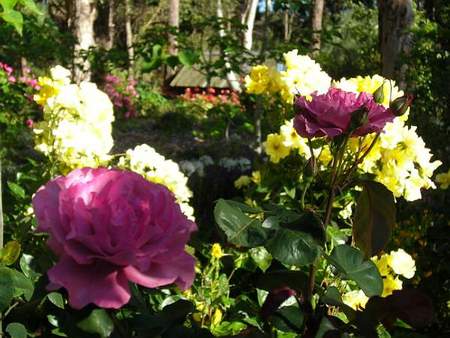 Ford House Retreat - Tourism Search 0