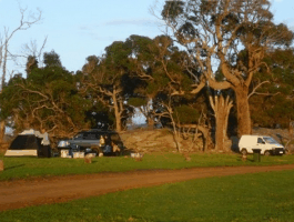 Ayr Sailean - Tourism Search 5