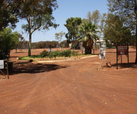 Alice Atkinson Caravan Park - Tourism Search 1