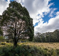 Nunnock campground - Tourism Search
