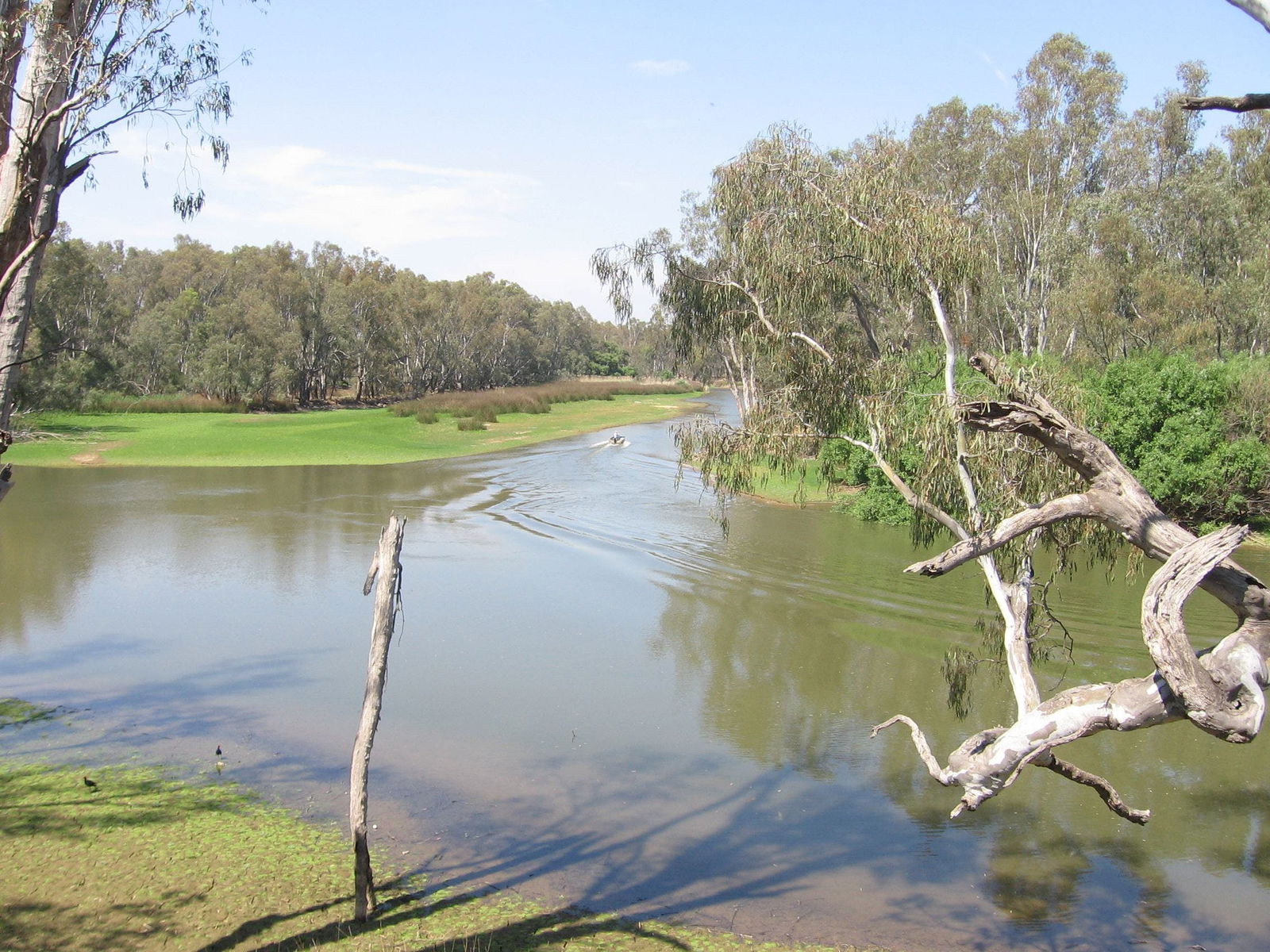 Collendina NSW Tourism Search