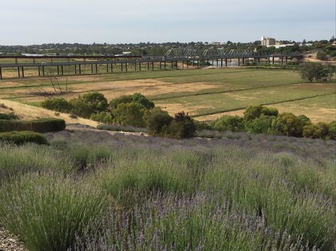 Brayfield Cottage - Tourism Search 0