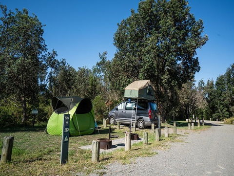 Crowdy Gap Campground - Tourism Search 2