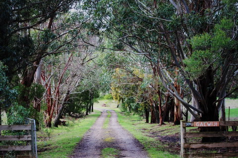 Galwiji Homestead - Tourism Search 1