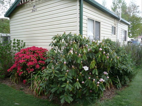 Jenolan Caravan Park - Tourism Search 0