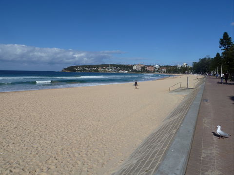 Manly Seaside Cottage - Tourism Search 0