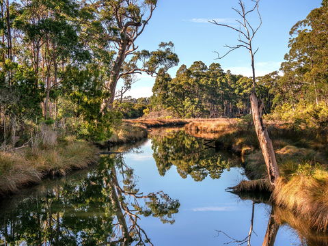 Saintys Creek Cottage - Tourism Search 1