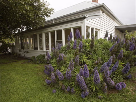 The Lonsdale Palms - Tourism Search 1