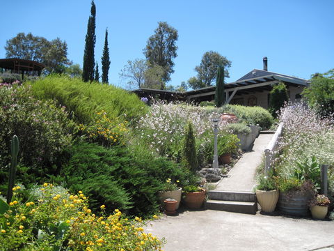 Valley View Cottage Hunter Valley - Tourism Search 0