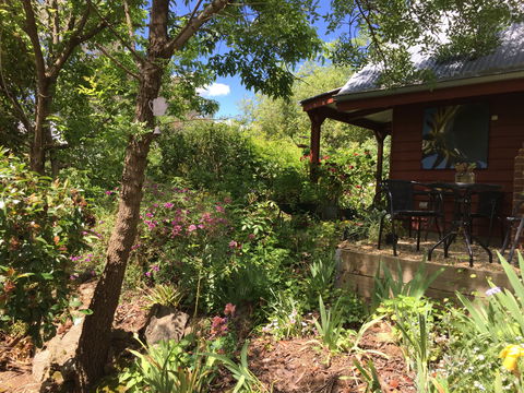 Artscape Cottage Beechworth - Tourism Search 2