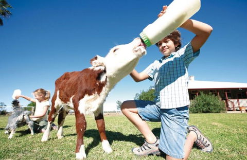 Charlotte Plains - Tourism Search 1