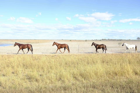 Charlotte Plains - Tourism Search 2