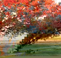 Little Kickabell Country Homestead - Tourism Search