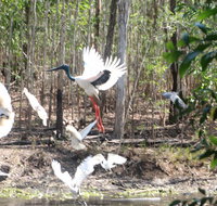 Rakhi Retreat - Tourism Search