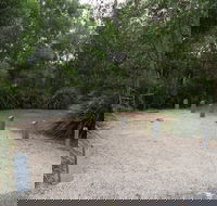 Springbrook National Park camping - Tourism Search