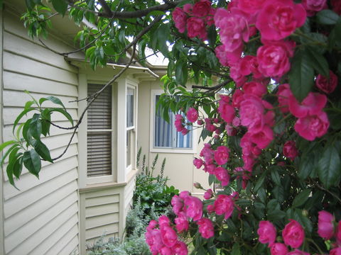 Valley Views Bed And Breakfast - Tourism Search 0