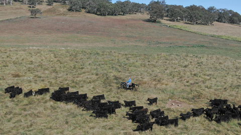 Waterloo Station - Tourism Search 2