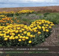 Alpine View Apartments - Tourism Search