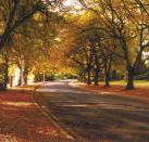 La Trobe at Beechworth - Tourism Search