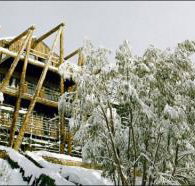 Silverski - Tourism Search