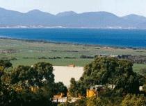 Waratah Bay VIC Tourism Search