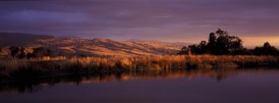 Wombat Hills Cottages - Tourism Search 3