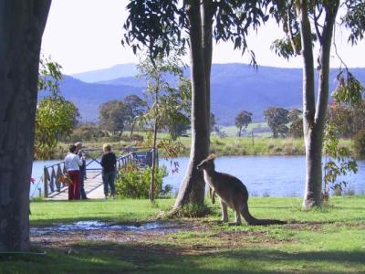 Wombat Hills Cottages - Tourism Search 4