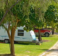 A Wangralea Caravan Park - Tourism Search