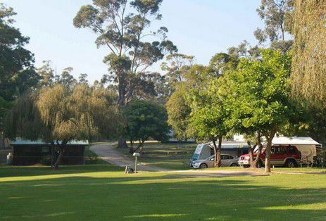 A Wangralea Caravan Park - Tourism Search 3