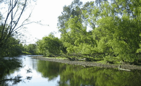 Ribbonwood Cottages - Tourism Search