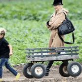 Perth City Farm Organic Markets - Tourism Search