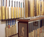 Western Australian Cricket Association Tours & Museum - Tourism Search 1