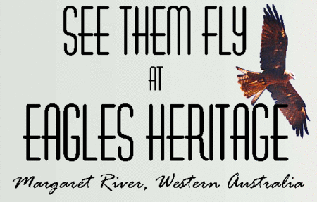 Eagles Heritage Raptor Wildlife Centre - Tourism Search