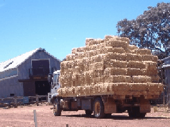 Avondale Discovery Farm - Tourism Search 1