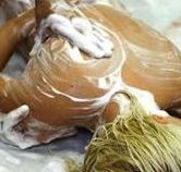 Exotique Massage - Tourism Search
