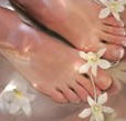Orchid Day Spa - Tourism Search