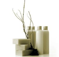 Oasis Day Spa - Tourism Search