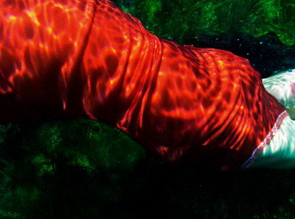 Dark Horse Experiment - Tourism Search 0