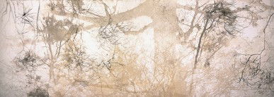 Dianne Tanzer Gallery & Projects - Tourism Search 3