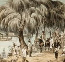 Joshua McClelland Print Room - Tourism Search