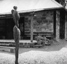 The Baldessin Press - Tourism Search