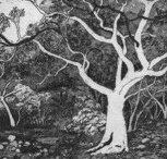 Tacit Contemporary Art - Tourism Search