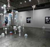 Nellie Castan Gallery - Tourism Search