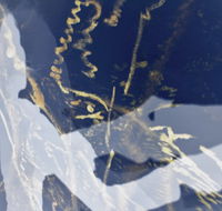 Warburton Lane Exhibits - Tourism Search