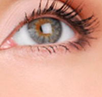 Cinnamon Stix Hair  Day Spa - Tourism Search